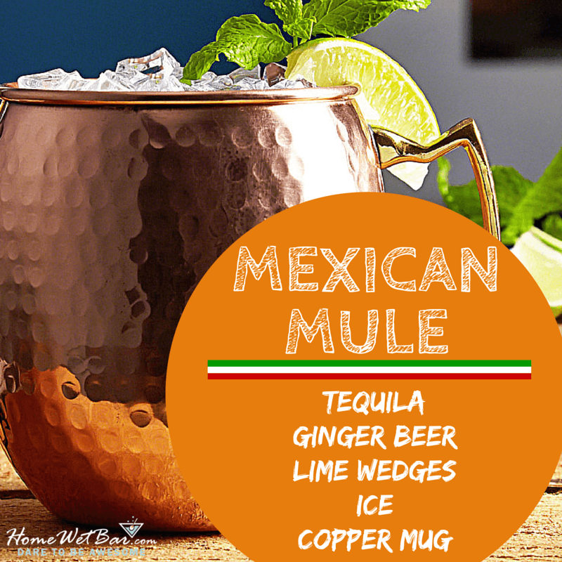 Ingredients for a Mexican Mule