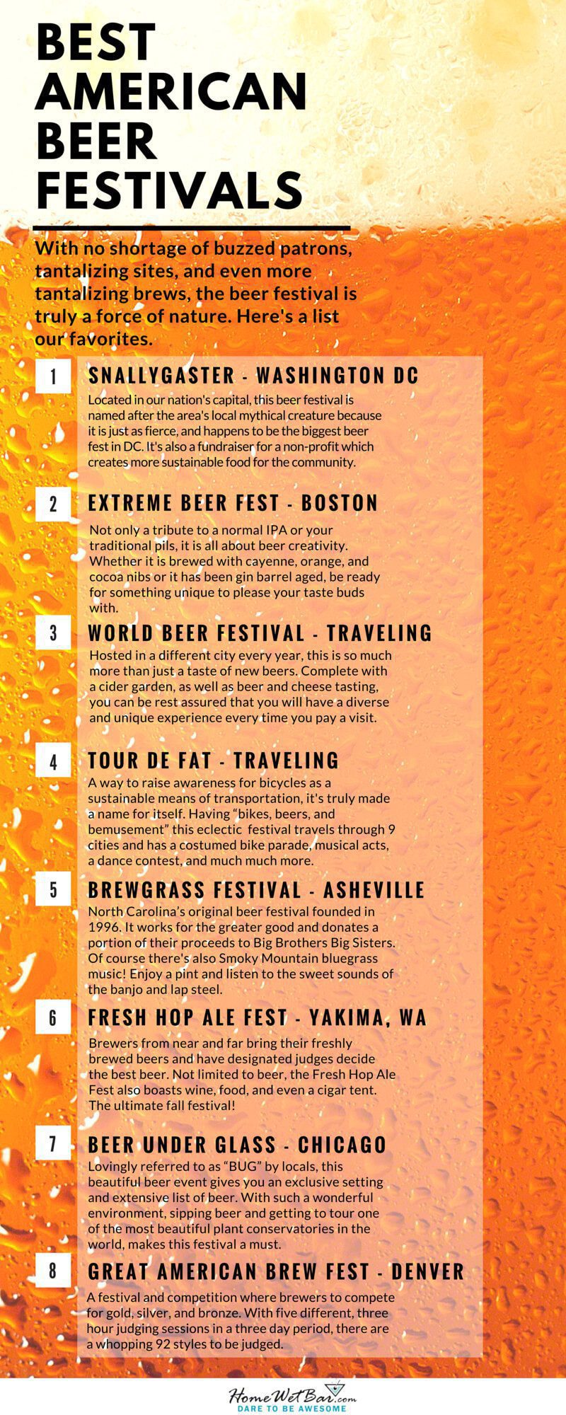 Best American Beer Festivals Infographic