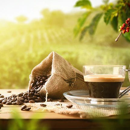 Jura Espresso Machines - HomeWetBar