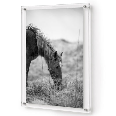 Hay There black and white acrylic wall art featuring a grazing horse
