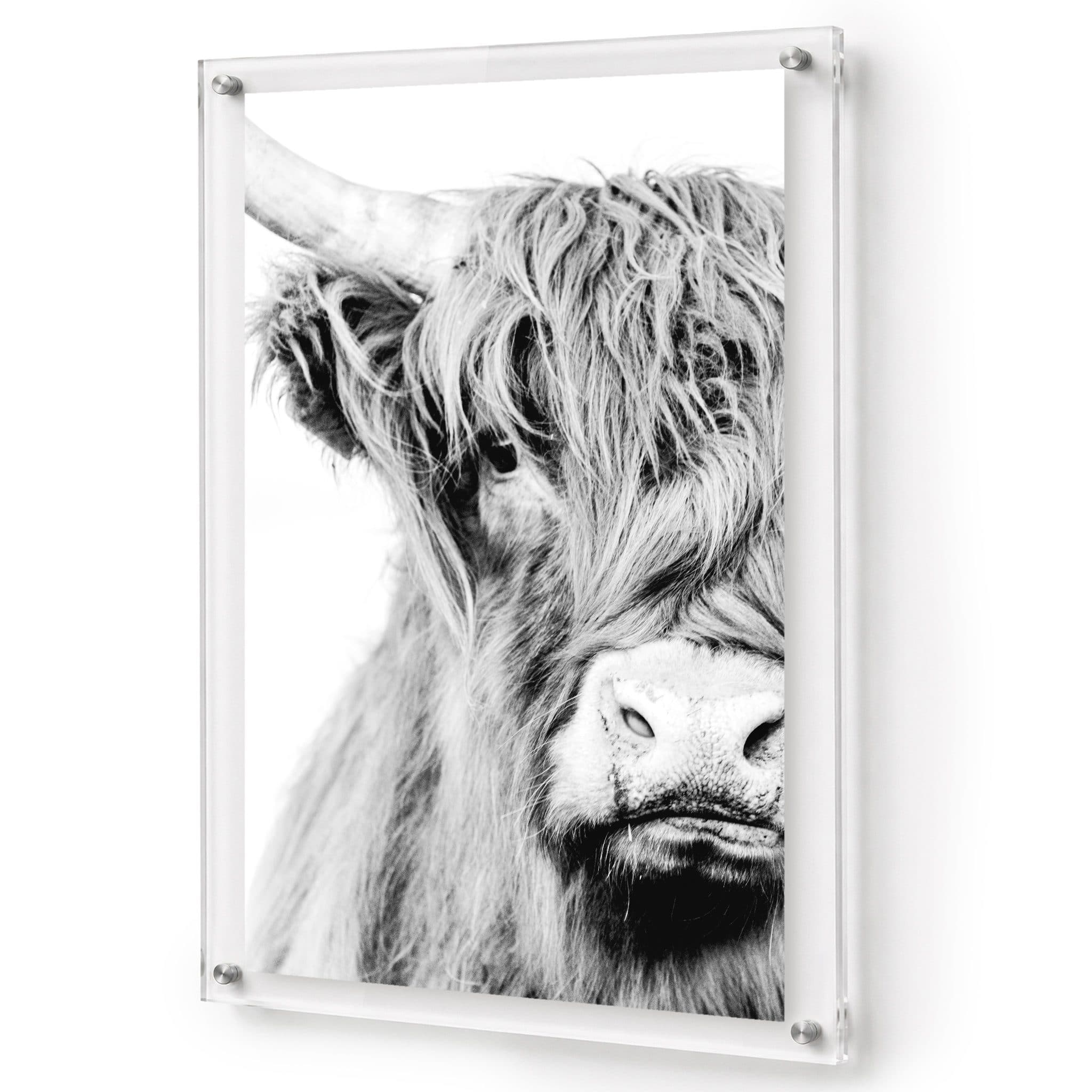 Fringe Benefits Acrylic Wall Art Print