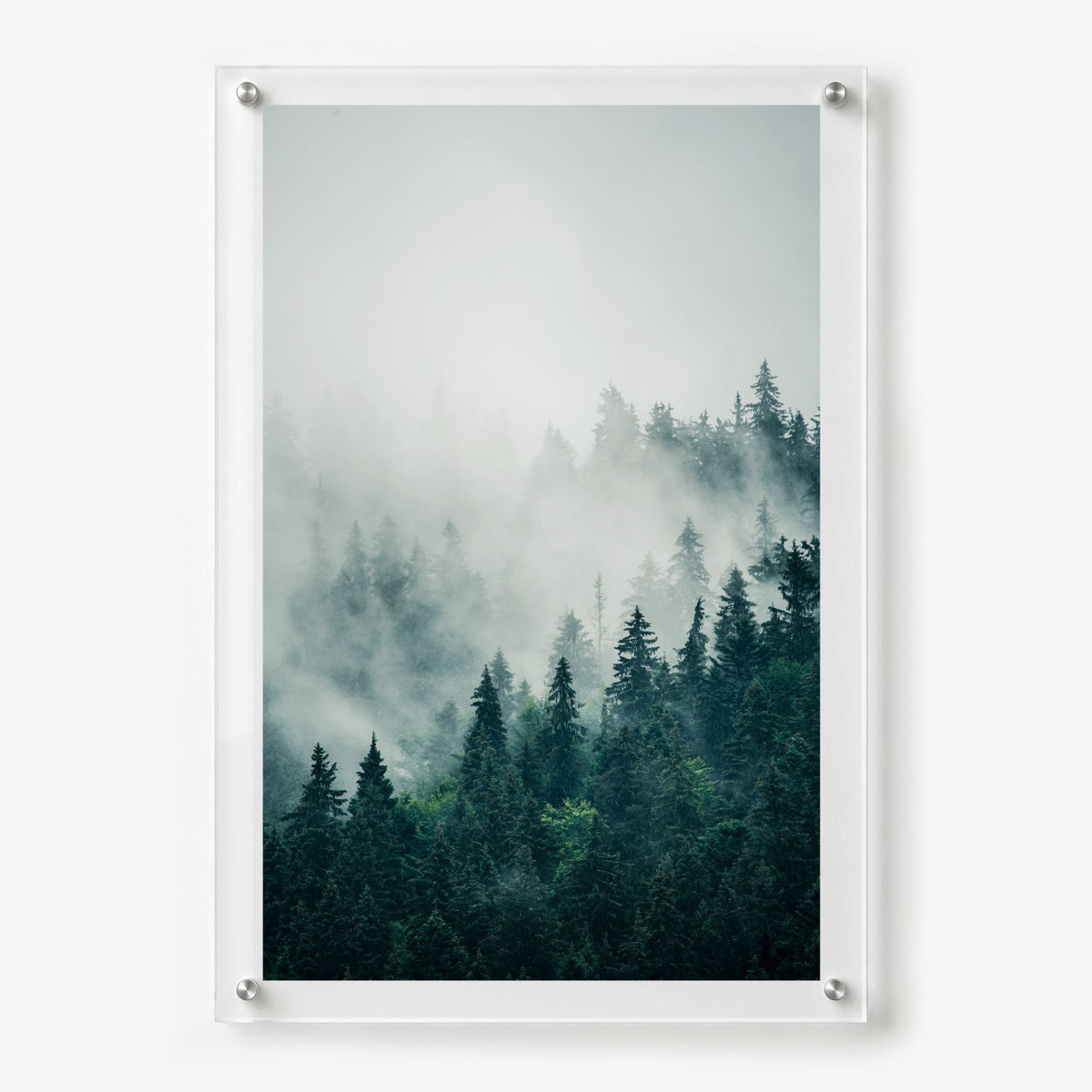Pine & Seek nature wall art with serene mountain forest scenery