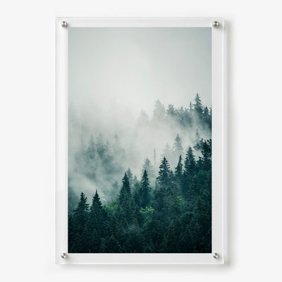 Pine & Seek nature wall art with serene mountain forest scenery