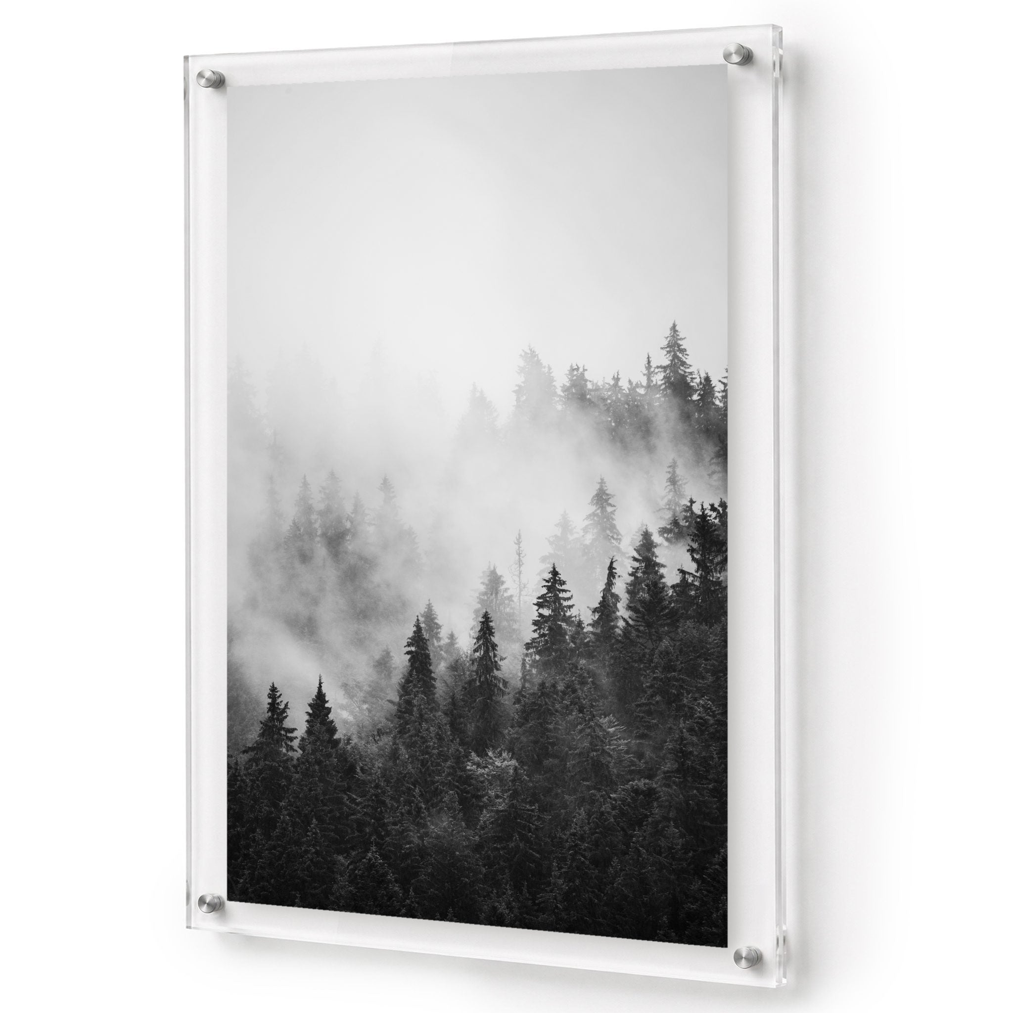 Pine & Seek Black & White Acrylic Wall Art Print