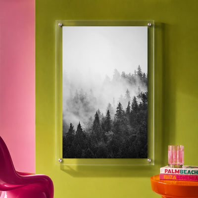 Pine & Seek Black & White Acrylic Wall Art Print