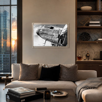 Plane and Simple Acrylic Wall Art Print