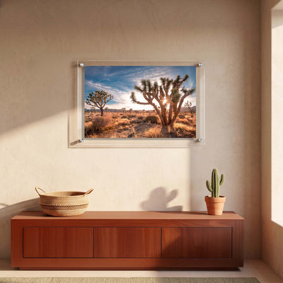 Desert landscape acrylic print with Joshua trees displayed in a modern entryway