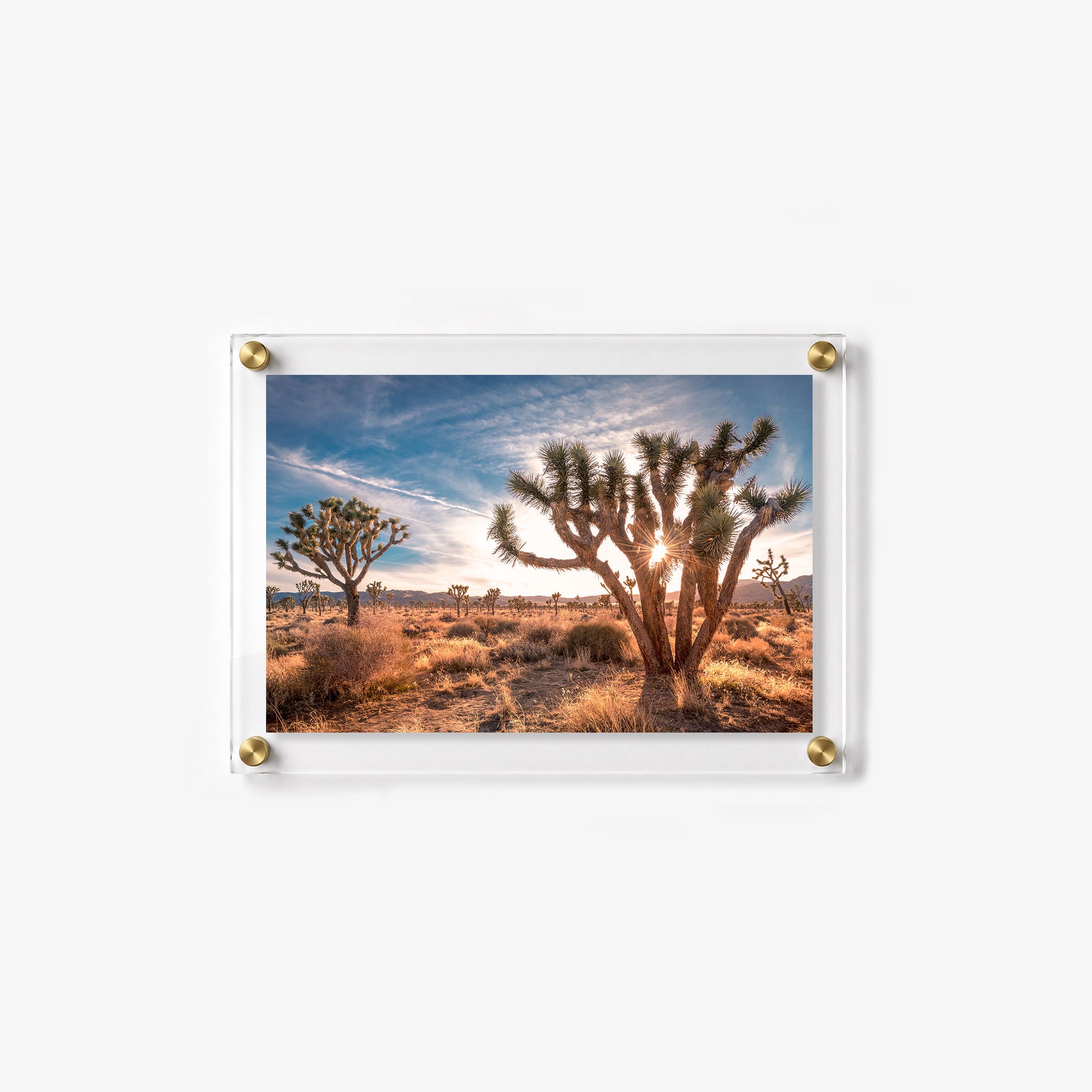 Golden desert wall art with a large Joshua tree and mountain views