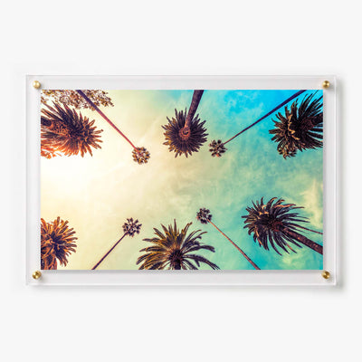 Acrylic wall art featuring tall palm trees viewed from a colorful golden hour sky