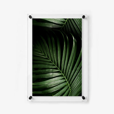 Vertical acrylic print showcasing detailed palm leaves