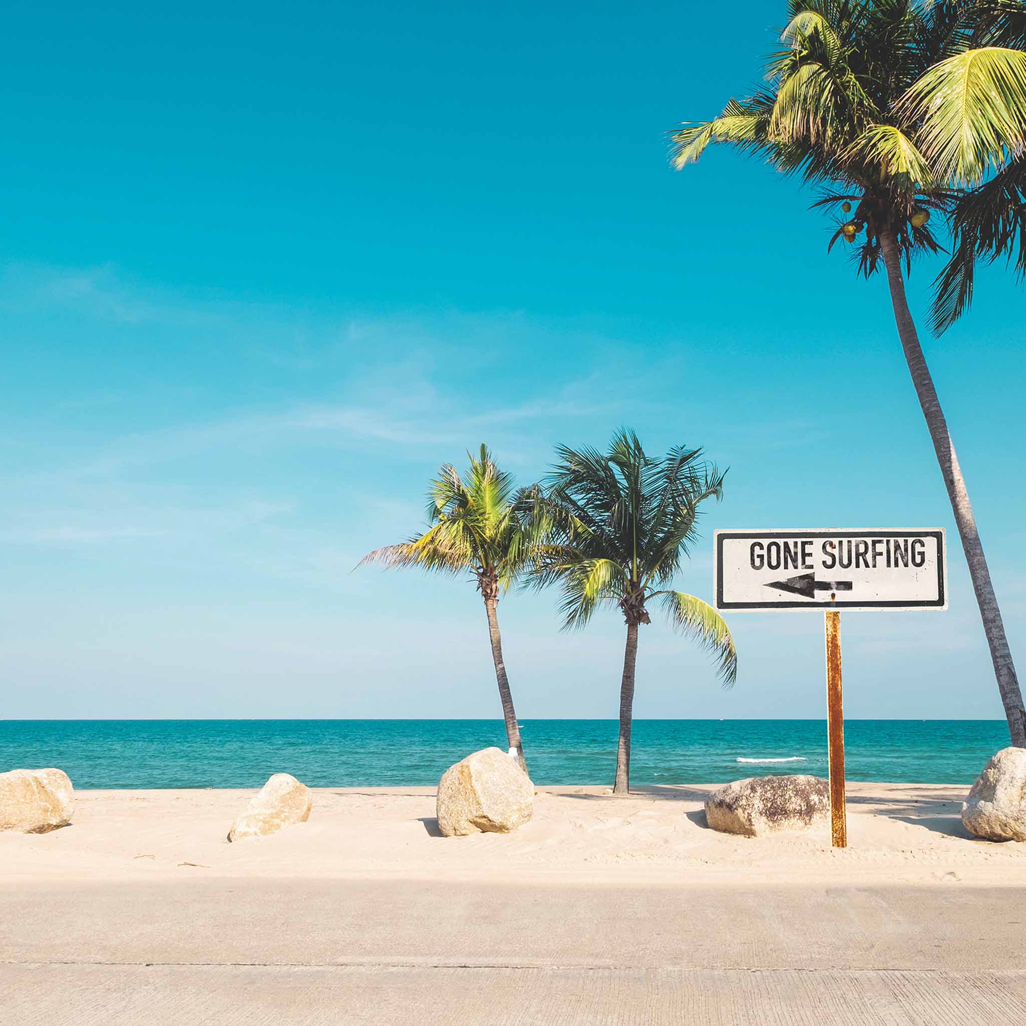 Beach scene featuring bright blue skies, sandy shoreline, and swaying palms