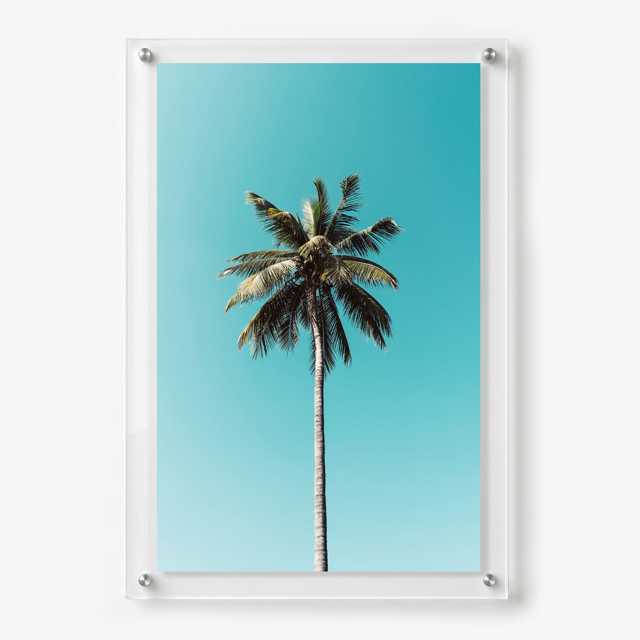 Acrylic wall art featuring a single tall palm tree against a clear turquoise sky