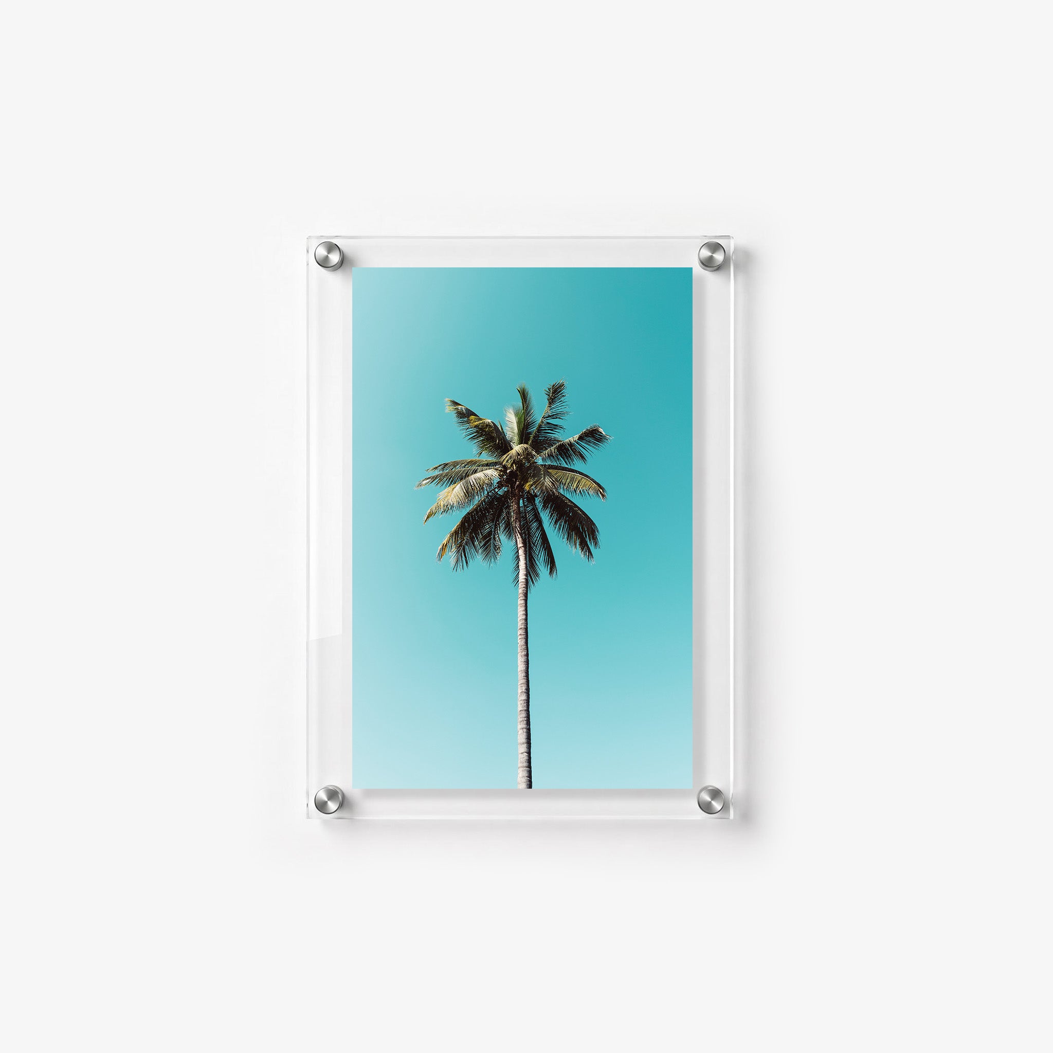 Tropical wall art with a lone palm centered against a vivid aqua background