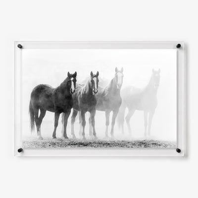 Black and white acrylic wall art featuring a group of horses standing together in dense morning mist