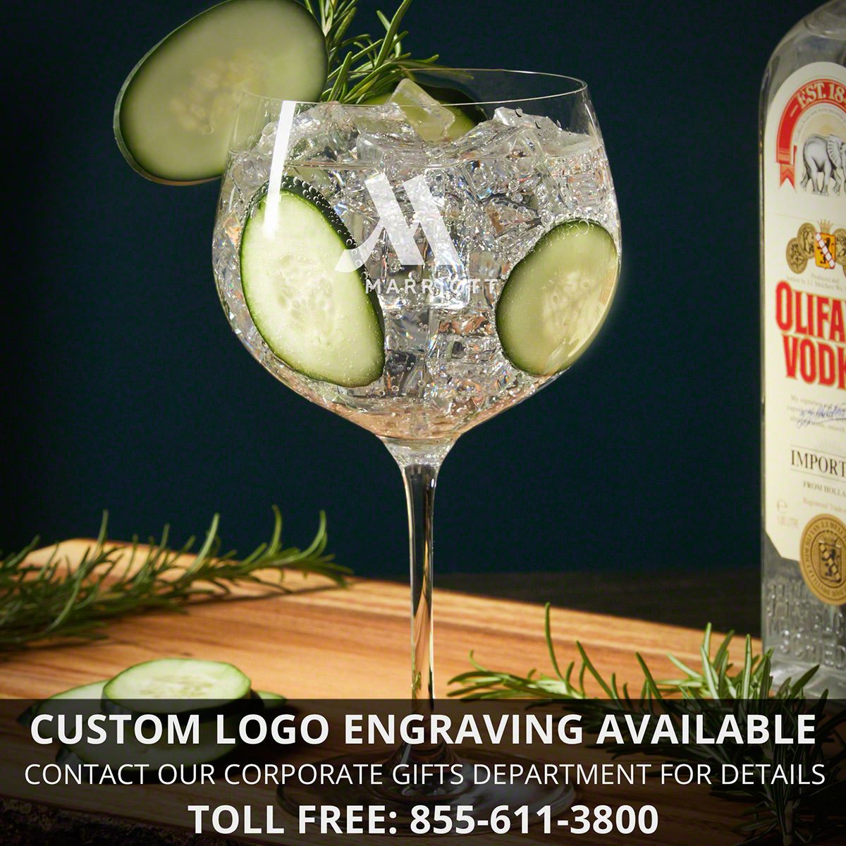 Custom Balloon Gin and Tonic Glasses Set of 2