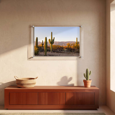 Horizontal acrylic wall art showing a group of towering cacti displayed in an entryway