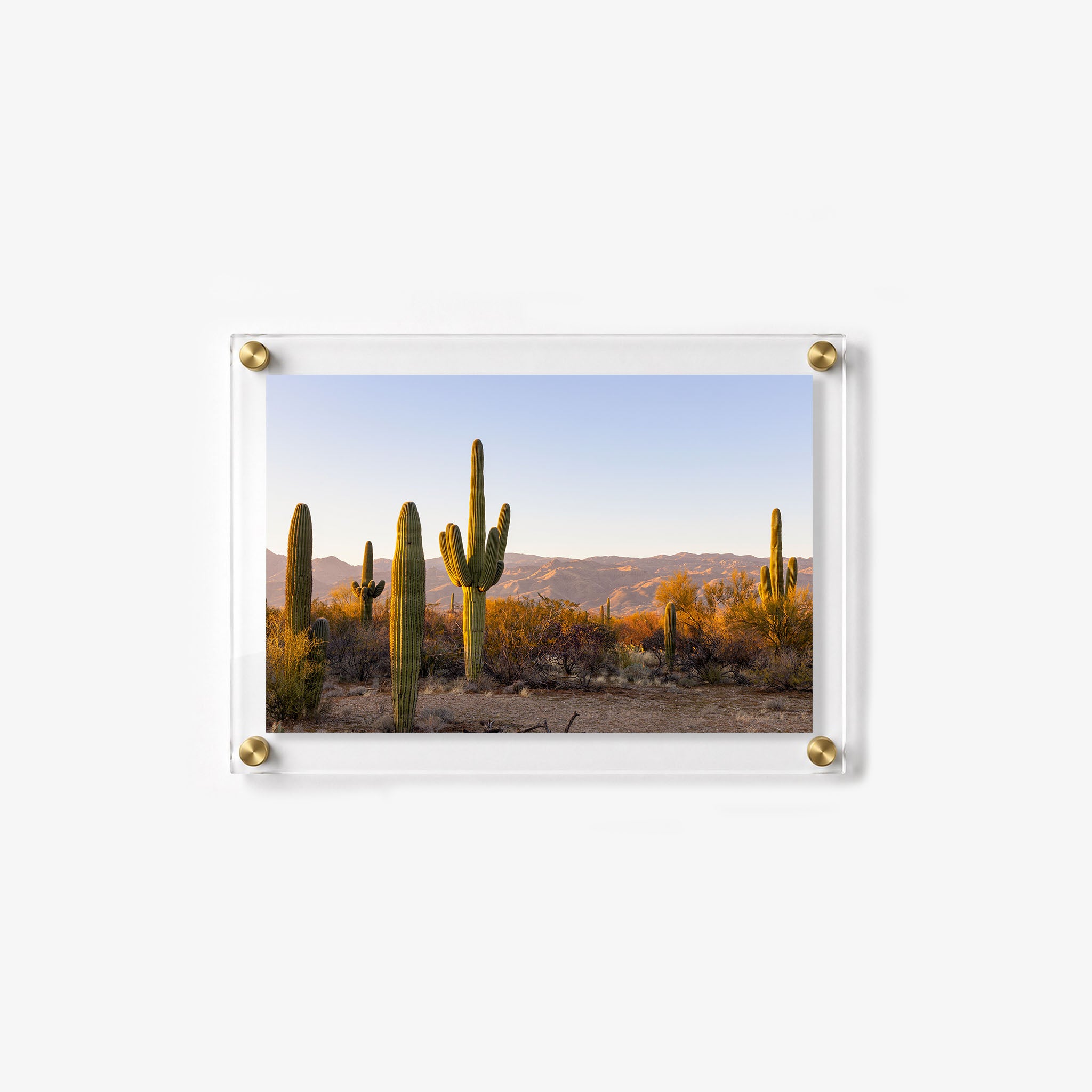 Arizona desert wall art featuring tall cacti and rugged mountains during golden hour