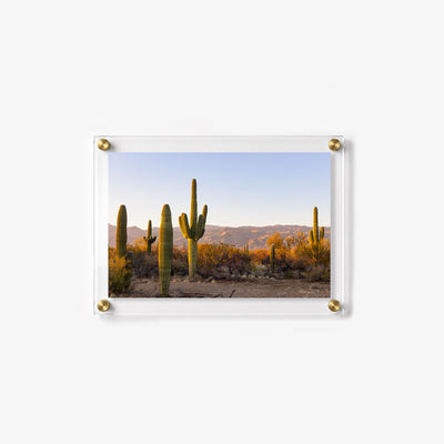 Arizona desert wall art featuring tall cacti and rugged mountains during golden hour