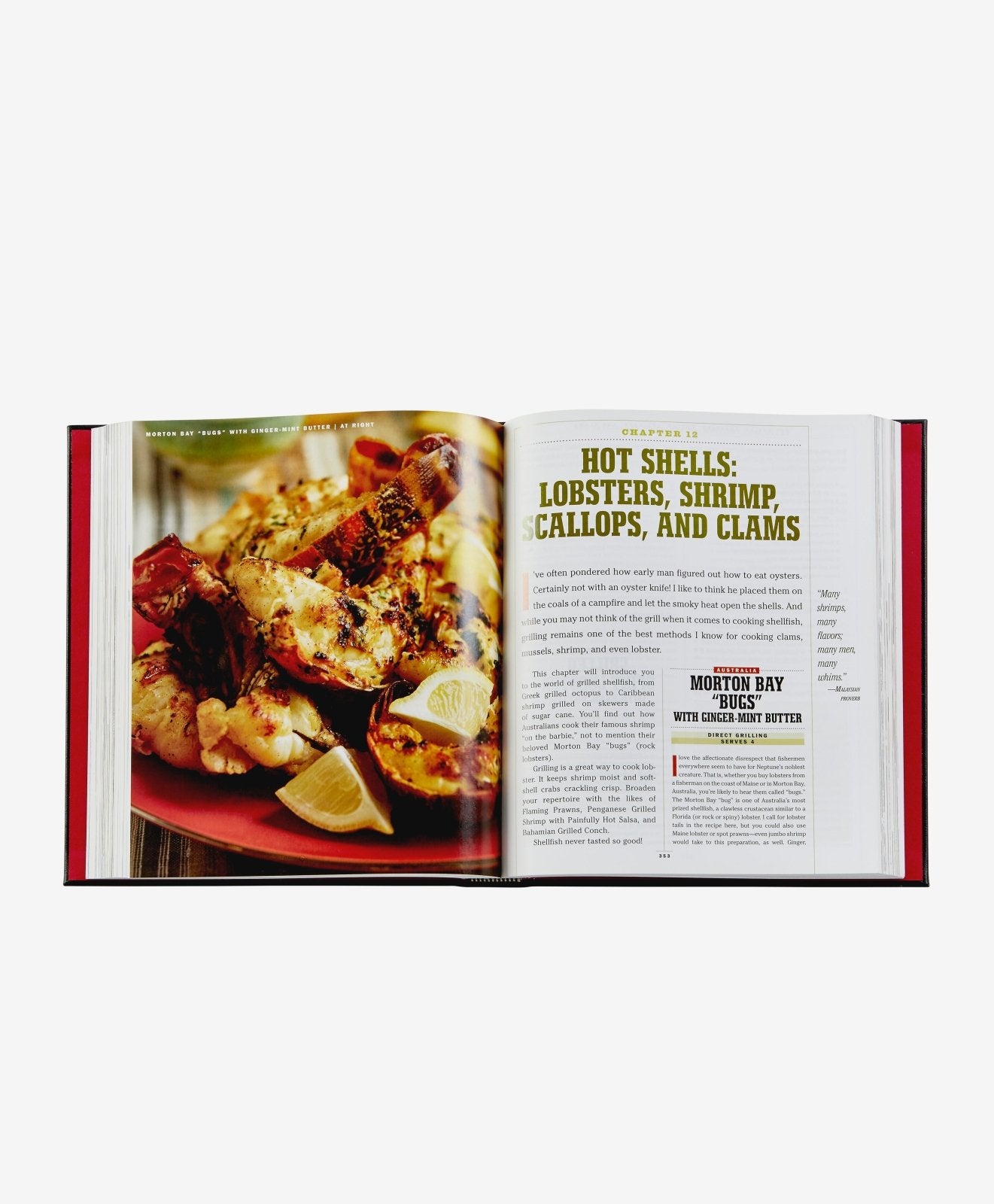 The Barbecue Bible - Coffee Table Book, Leather Bound