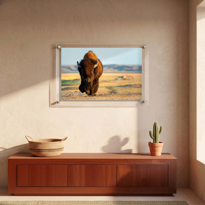 Acrylic wall art featuring a large bison standing on a wide prairie displayed in an entryway