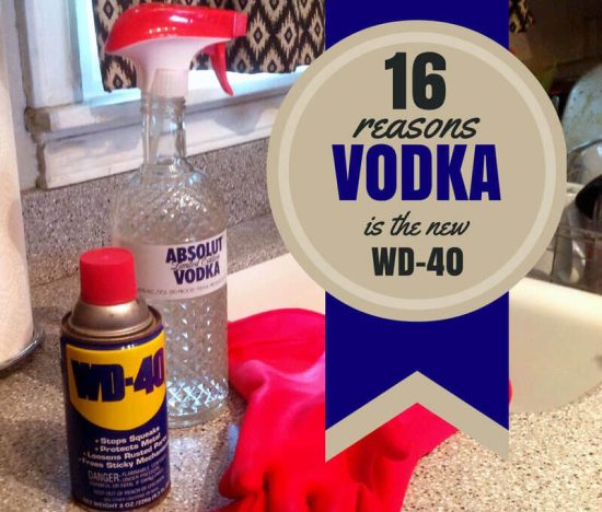 16 Reasons Vodka is the New WD-40