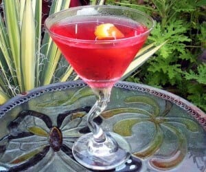 The Cranberry Gin Martini