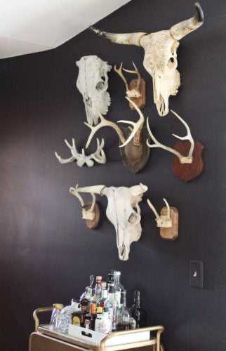 Skull Bar Decor Idea