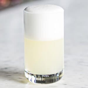 http://liquor.com/recipes/gin-fizz/