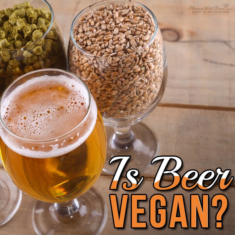 Is Beer Vegan? Your Questions Answered!