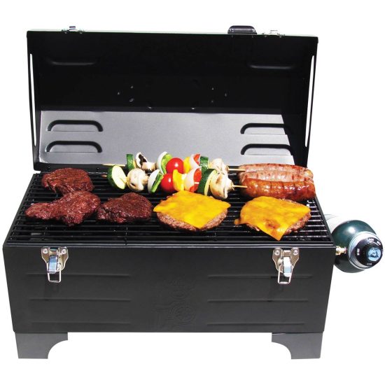 Portable Gas and Charcoal Grill