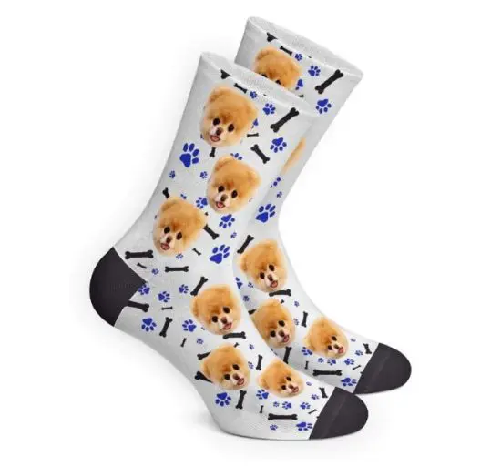 Funny Pet Socks Small Gift for Men