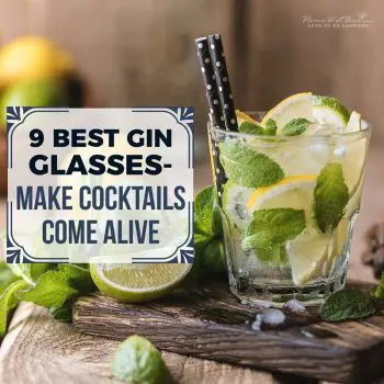 9 Best Gin Glasses - Make Cocktails Come Alive