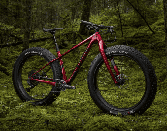 Carbon Fiber Fat Bike