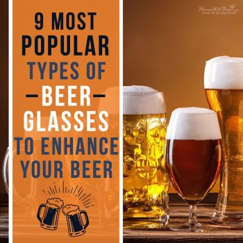 9 Most Popular Types of Beer Glasses to Enhance Your Beer