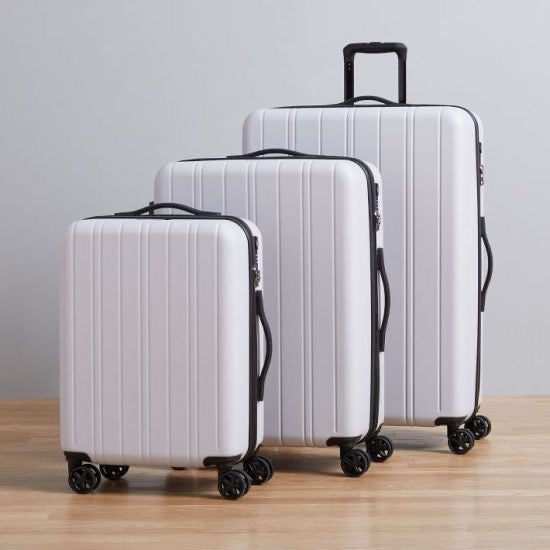 Platinum Luggage Set