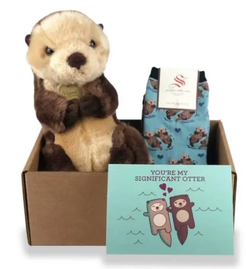 Otter Care Package