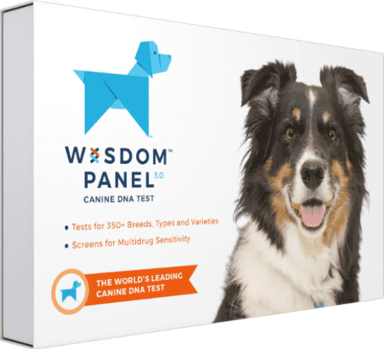 Dog DNA Test Kit