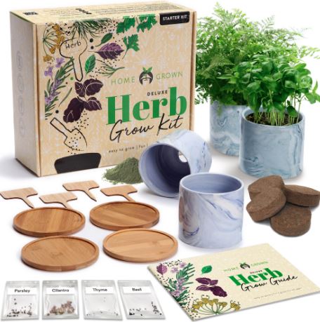 Grow Your Own Herb Garden Kit