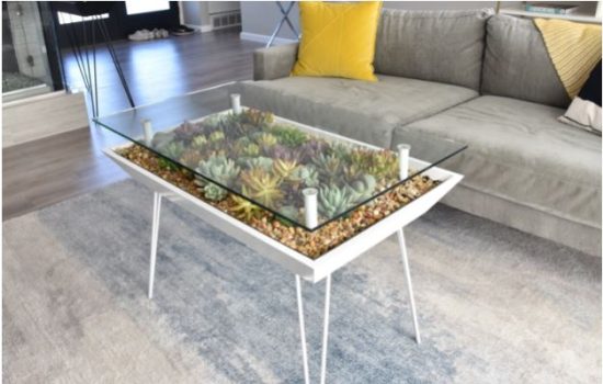 Succulent Coffee Table