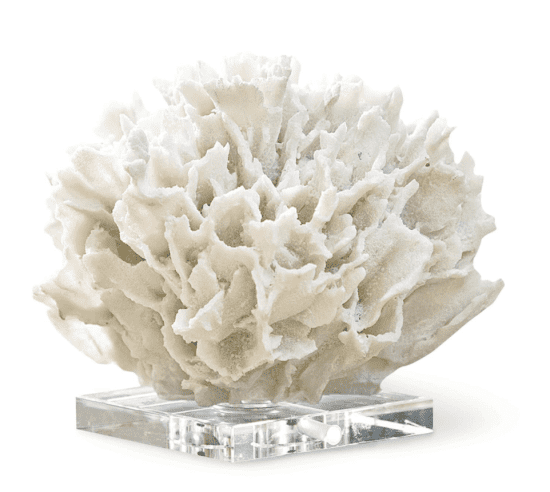 Porcelain Coral Sculpture