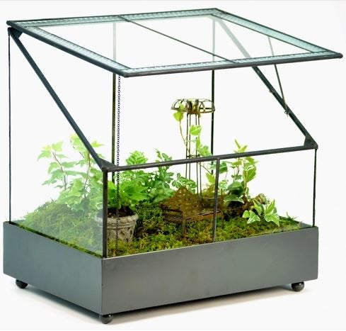 Terrarium for Home Cocktails