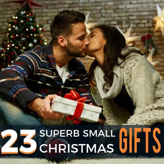 23 Superb Small Christmas Gifts