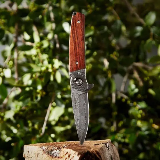 Damascus knife stabbed into tree trunk