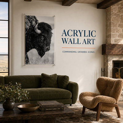 The Lookout wall art featuring a buffalo in monochrome tones