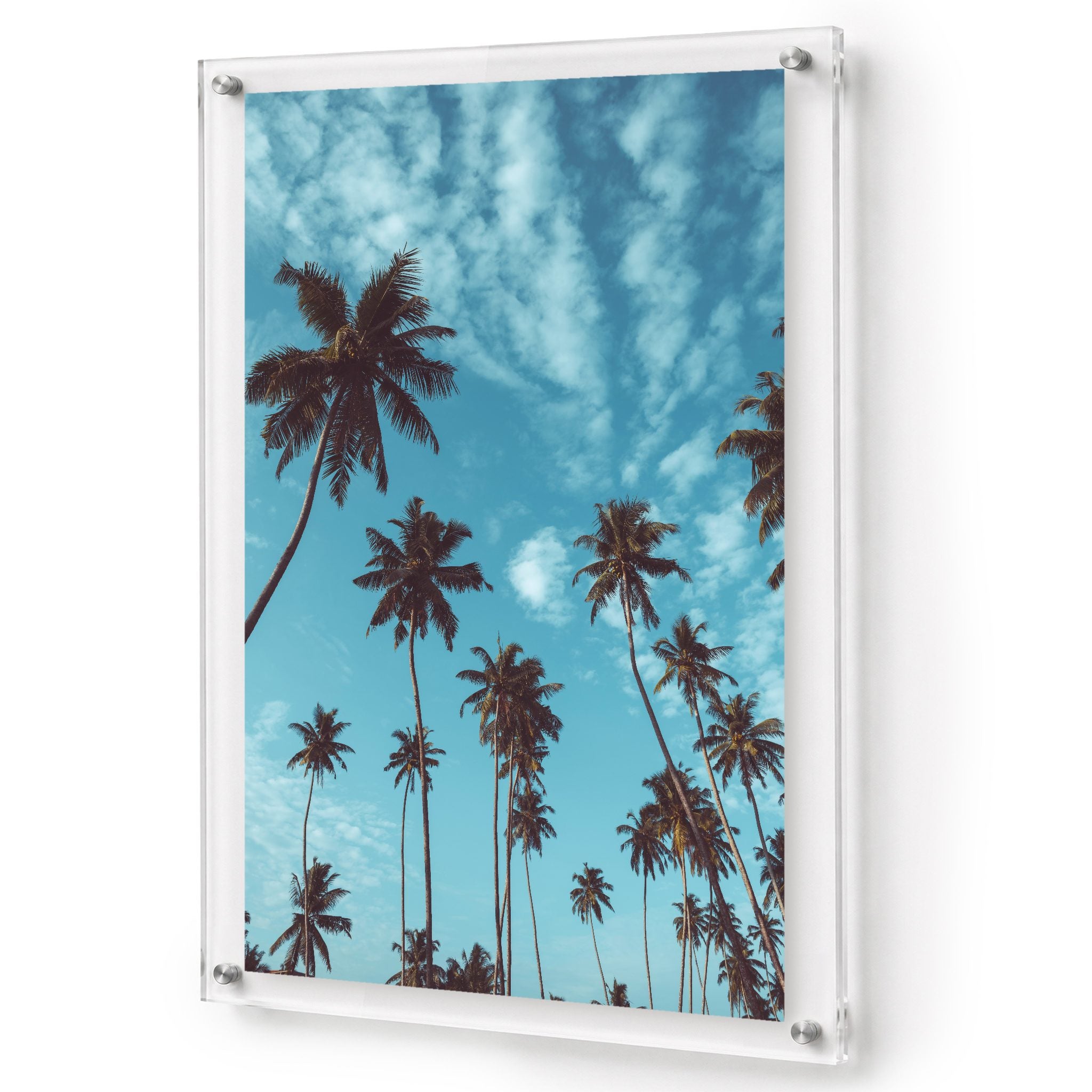 Palm Parade acrylic wall art featuring tall palm trees under a blue sky