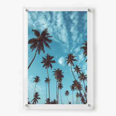 Palm Parade tropical wall art featuring palm trees and cloud filled sky