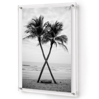 Two to Tango Acrylic Wall Art Print