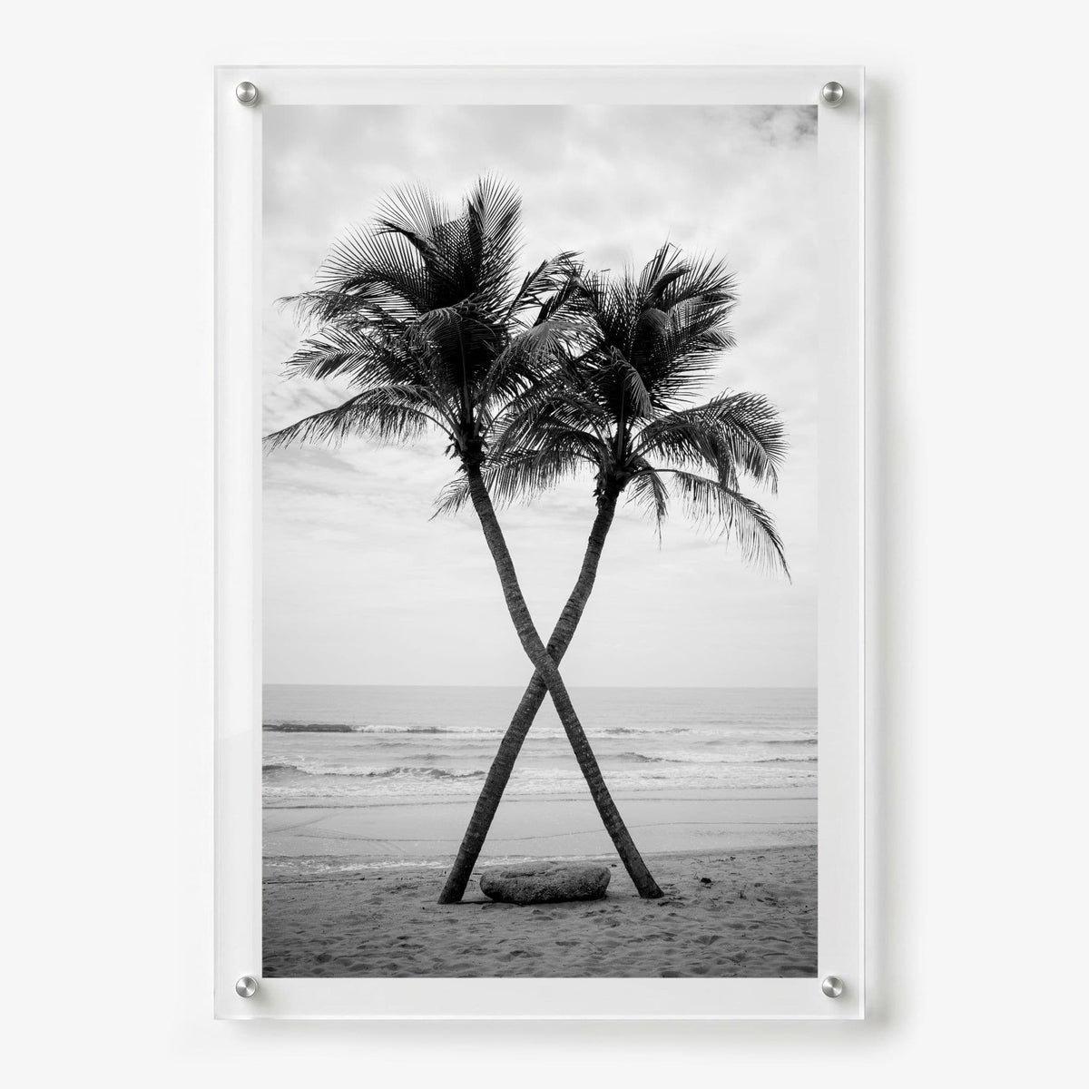 Two to Tango Acrylic Wall Art Print