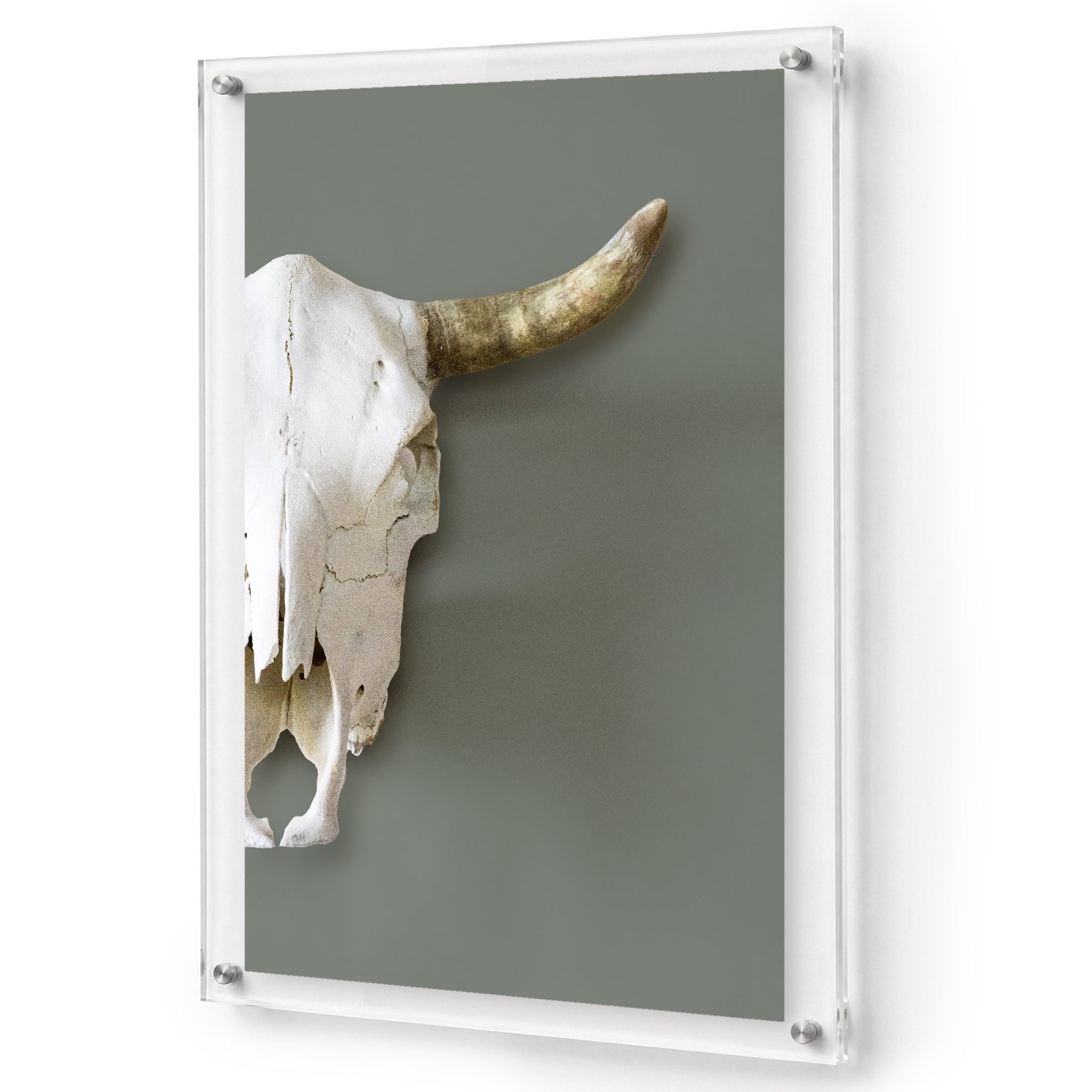 Bleached Outlaw Acrylic Wall Art Print
