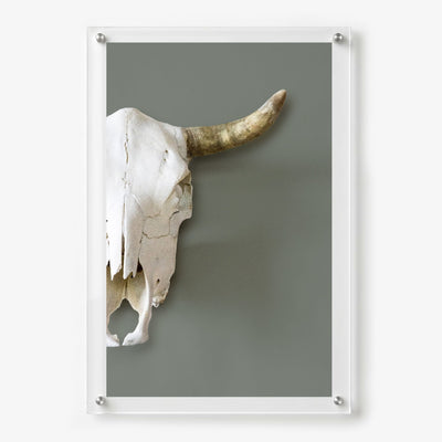 Bleached Outlaw Acrylic Wall Art Print